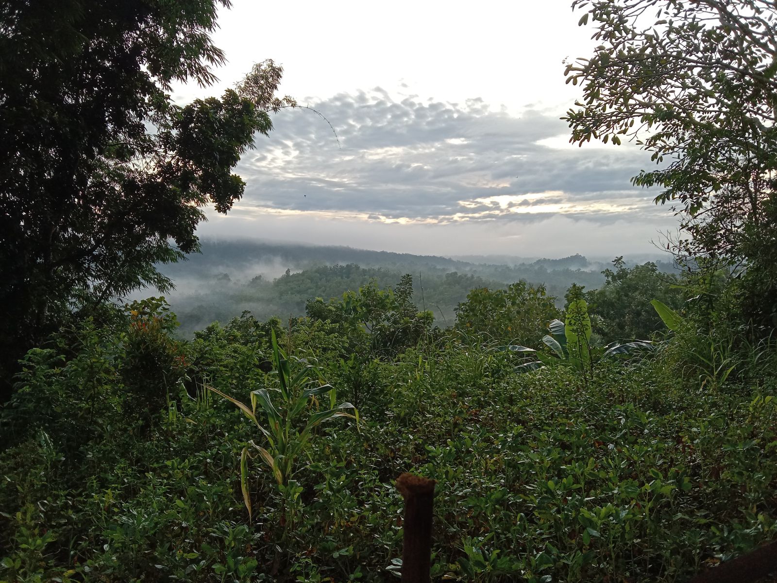Puncak Keindahan di Damarwulan: Jelajahi Wisata & Hiburan yang Memukau